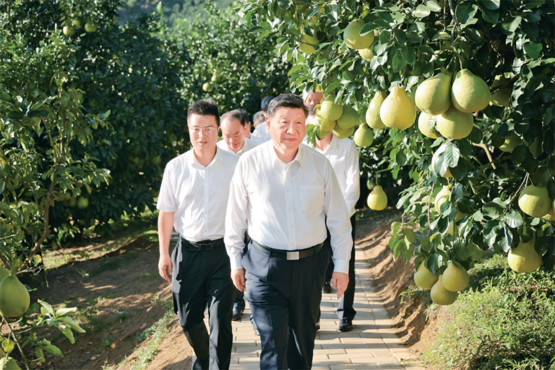 ����2025��11��7����8�գ��й���������ǡ�������ϯ�������ί��ϯϰ��ƽ�ڹ㶫���졣����7�����磬ϰ��ƽ��÷����÷�����������ϸ�������ֲ���ؿ��졣